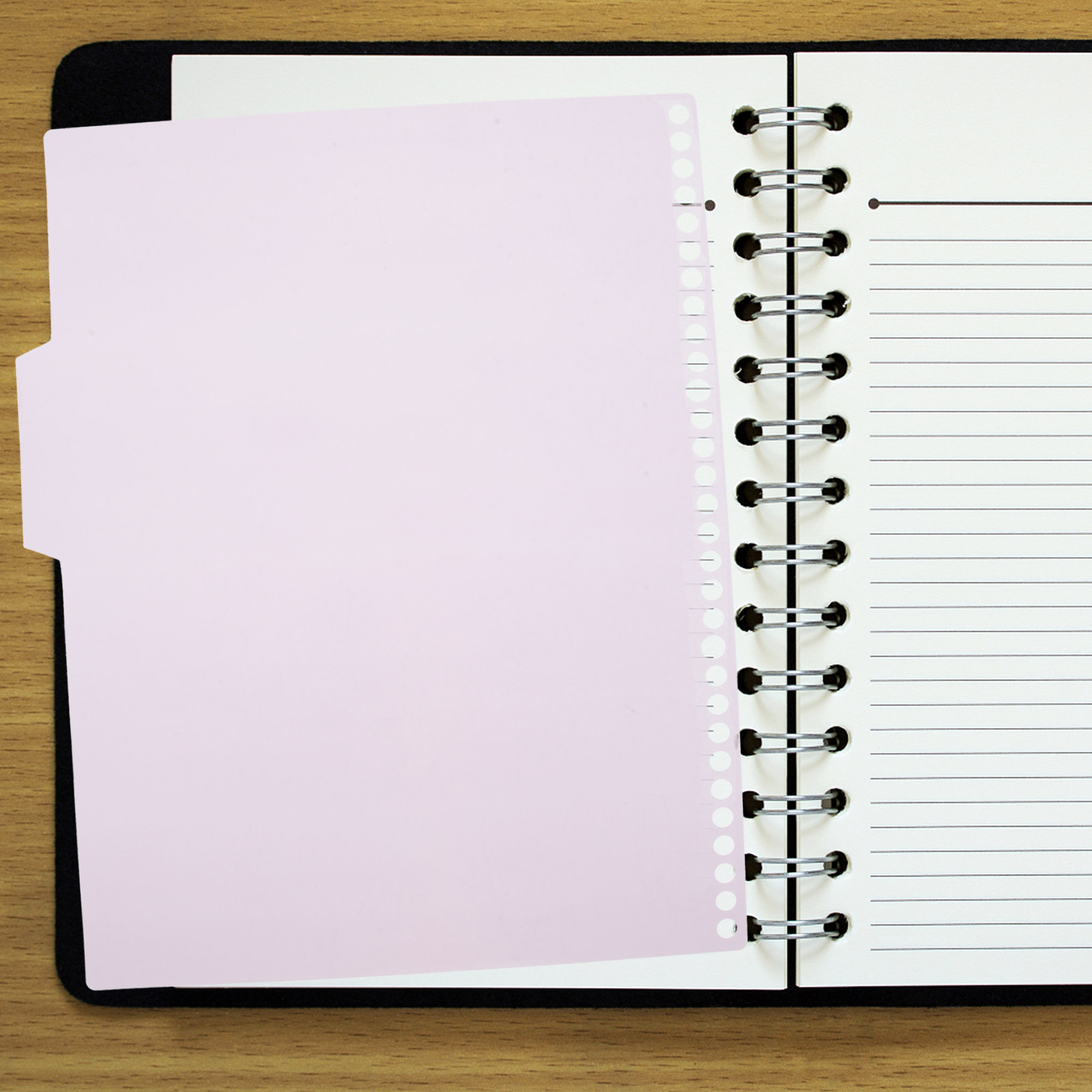 Tab Divider A4 - 6 Sets farbenfroher PP-Registerblätter mit beschreibbaren